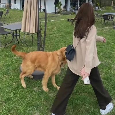潮爆莫斯科